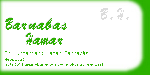 barnabas hamar business card
