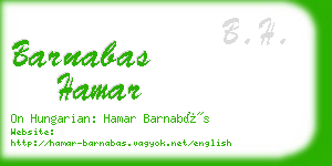 barnabas hamar business card